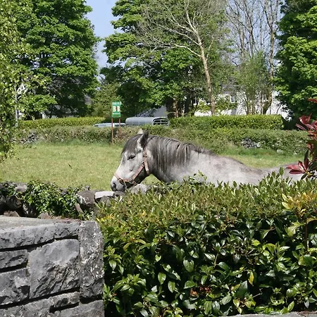 B&B Carrowntober House 우그테라드