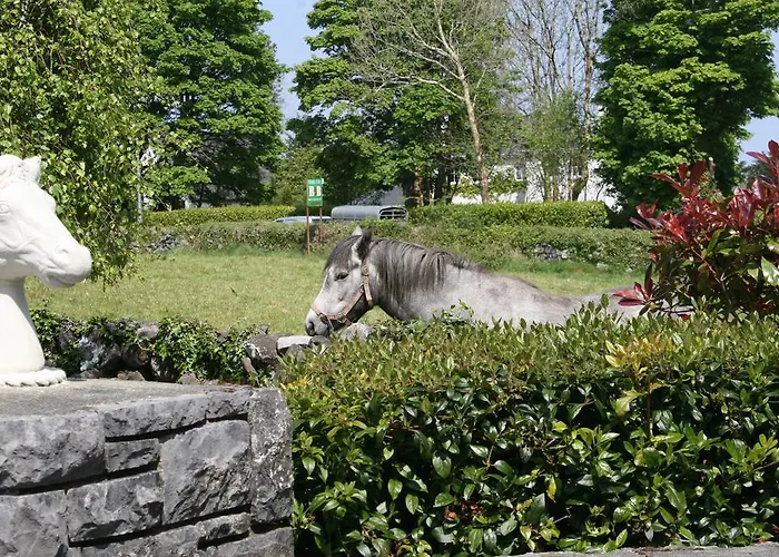 Bed & Breakfast Carrowntober House Oughterard