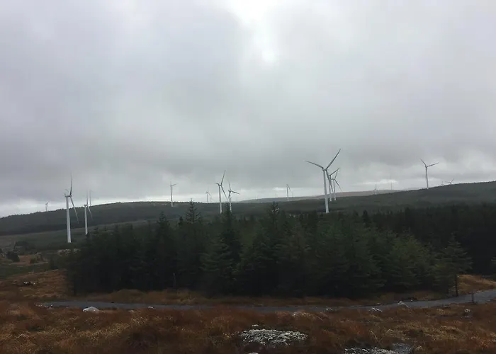 Carrowntober House Nocleg ze śniadaniem